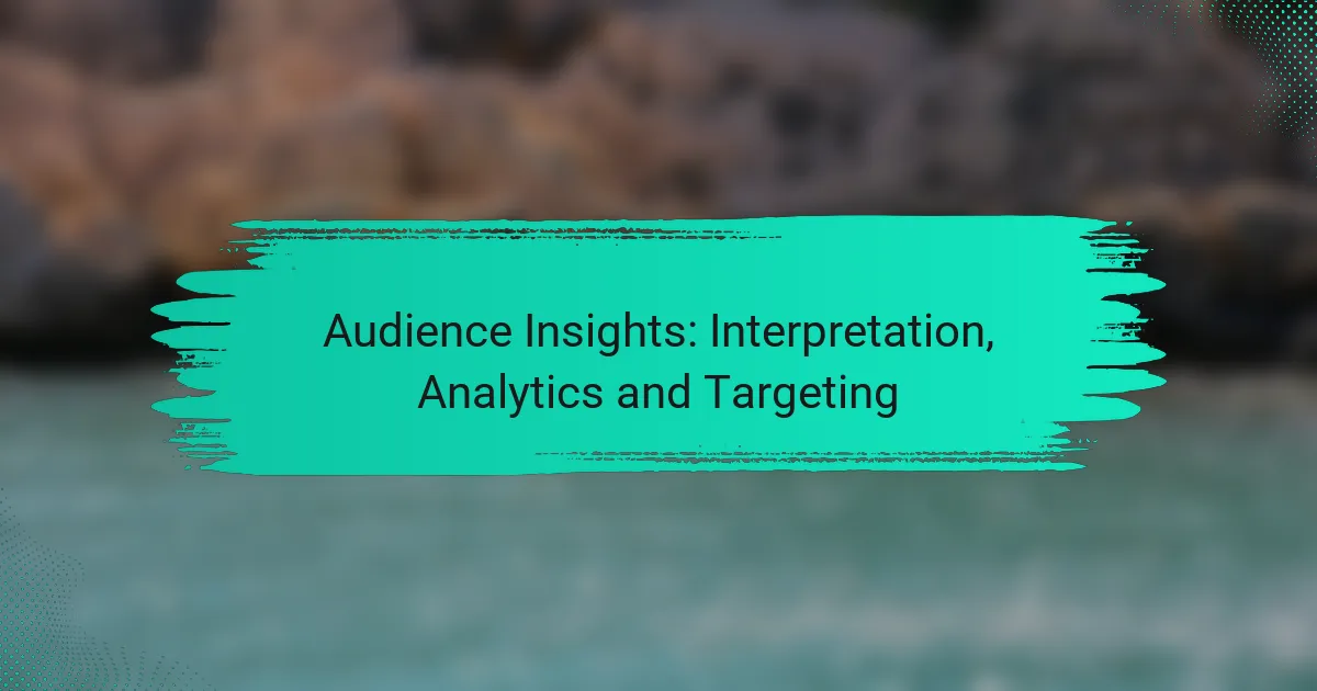 Audience Insights: Interpretation, Analytics and Targeting