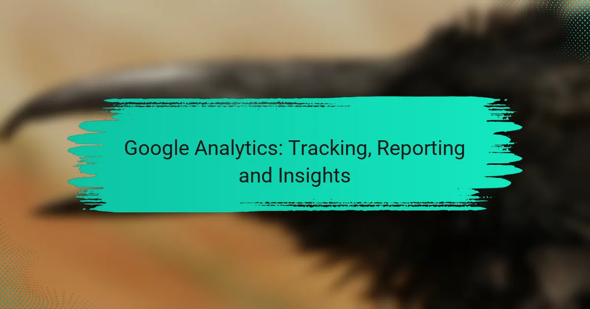 Google Analytics: Tracking, Reporting and Insights
