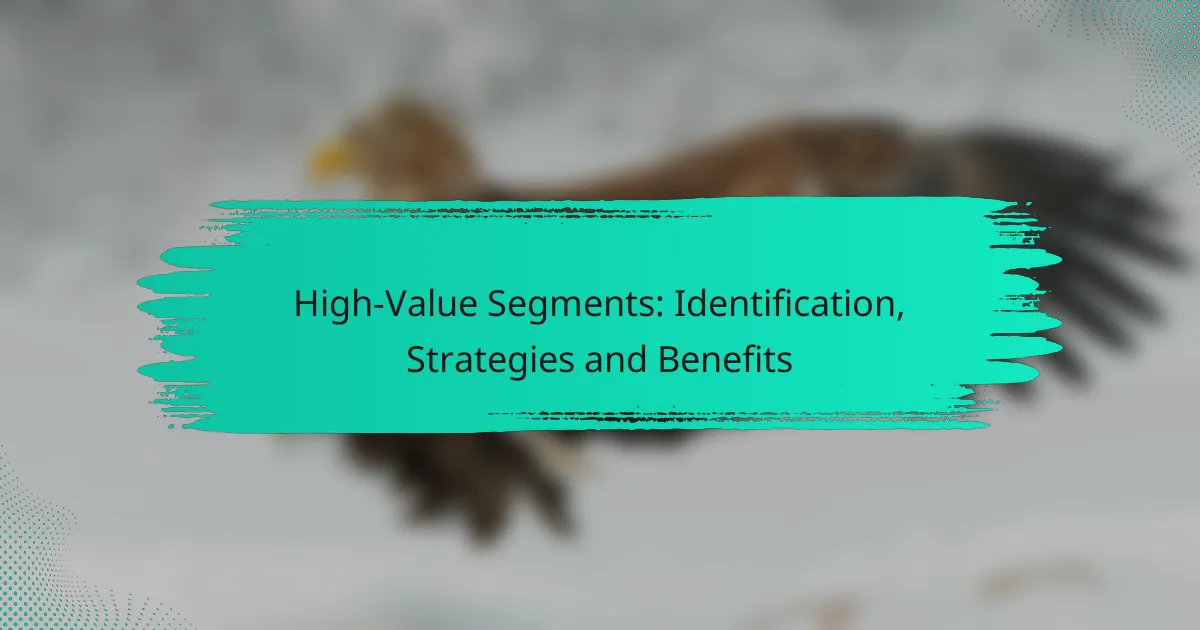 High-Value Segments: Identification, Strategies and Benefits