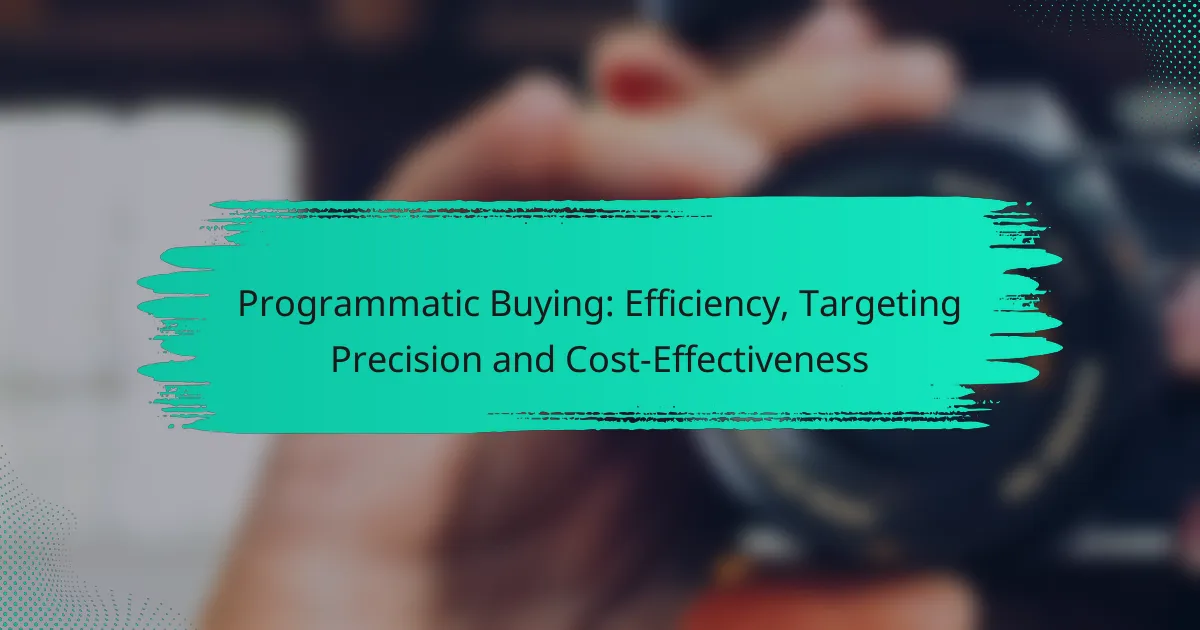 Programmatic Buying: Efficiency, Targeting Precision and Cost-Effectiveness