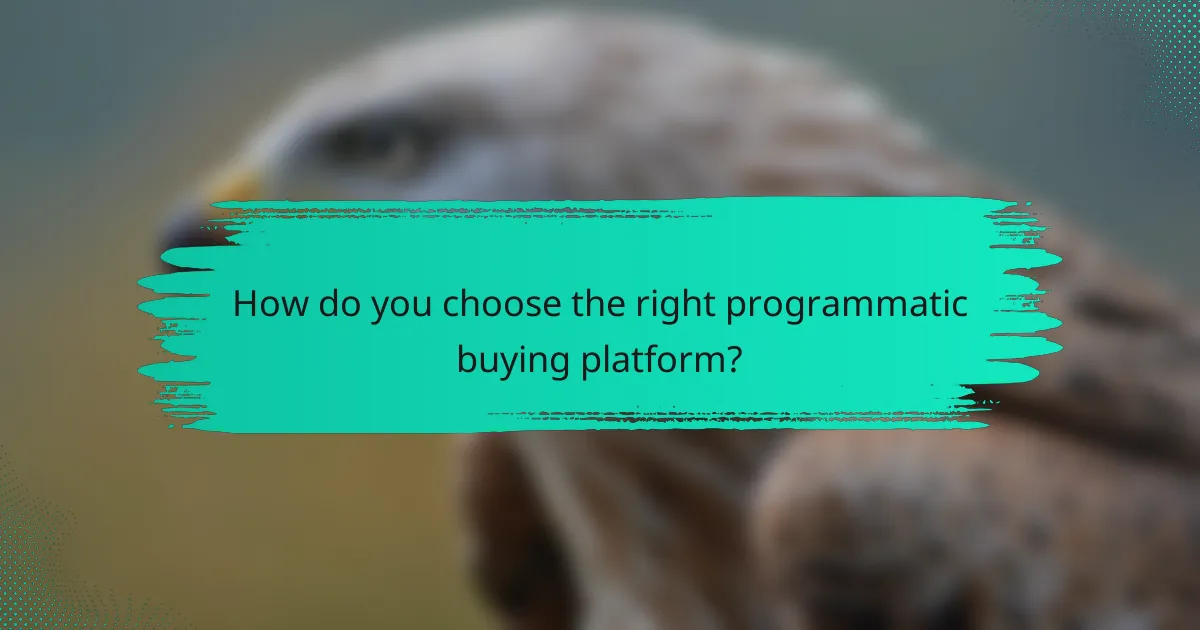 How do you choose the right programmatic buying platform?