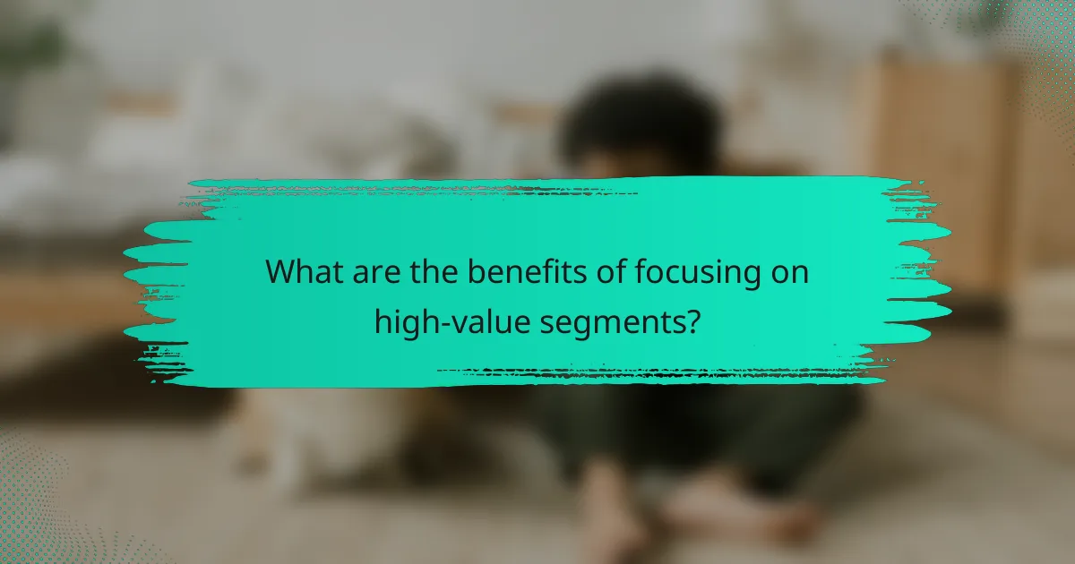 What are the benefits of focusing on high-value segments?